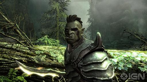 Elder Scrolls V: Skyrim, The - От Oblivion к Skyrim